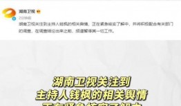 娱乐吃瓜链,揭秘明星幕后故事与热点事件