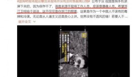 人物爆料视频怎么做的,幕后技巧全解析